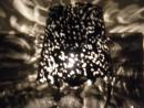 Que peut-on faire avec un bout de tube, un bout de t�le et un peu d'imagination.... Un d�but de r�ponse ici... Bonne visite